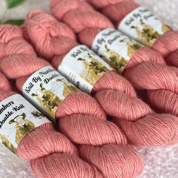 Knit by numbers salmone 24