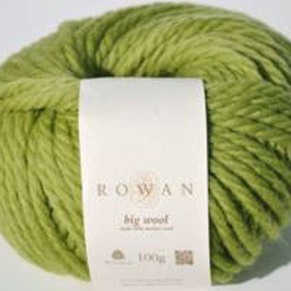 Filato Big Wool verde mela 69